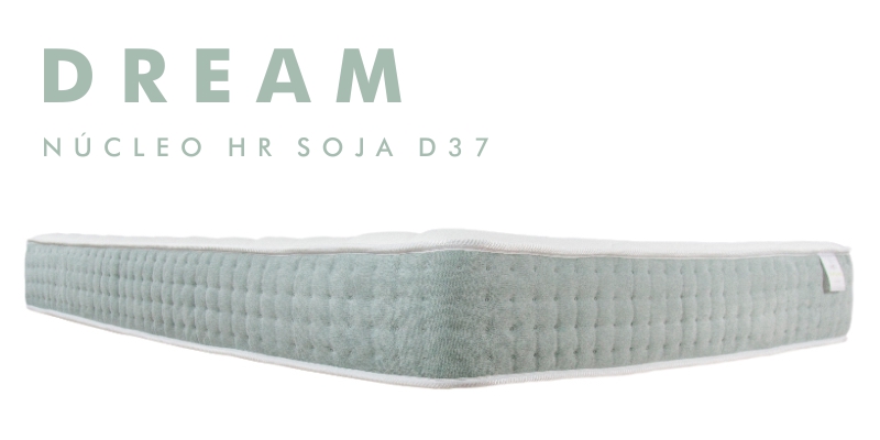 Dream_web