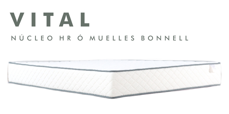 Vital_web